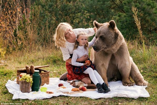 пикник с медведем 1