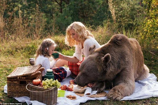 пикник с медведем 4