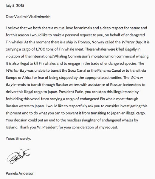 письмо Памелы Андерсон Путину