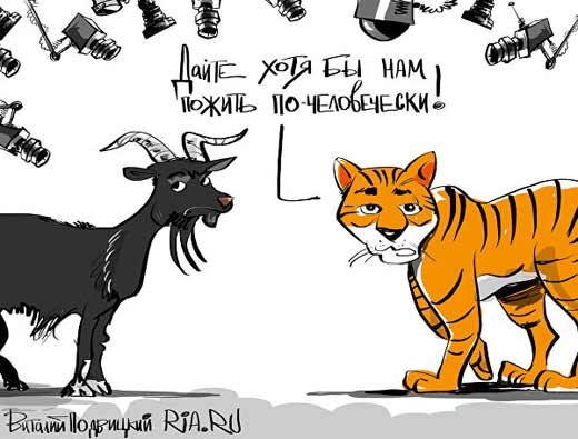 Амур Тимур карикатура
