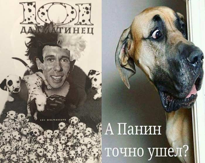 фотожаба Алексей Панин с собаками