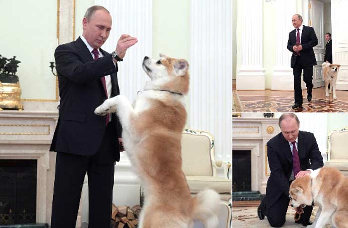Владимир Путин с собакой Юмэ