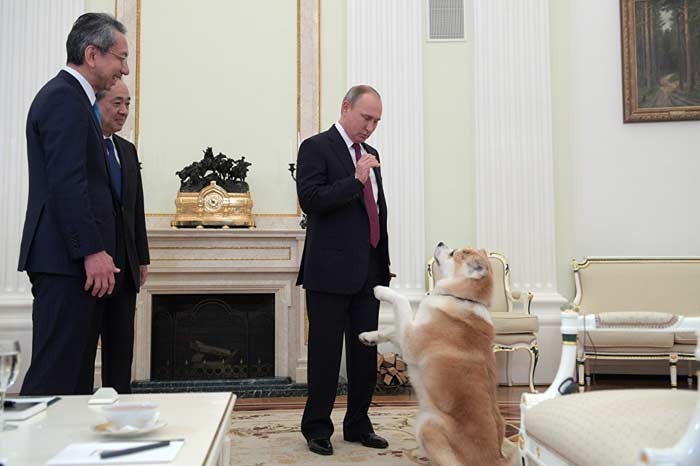 Владимир Путин и Юмэ 2