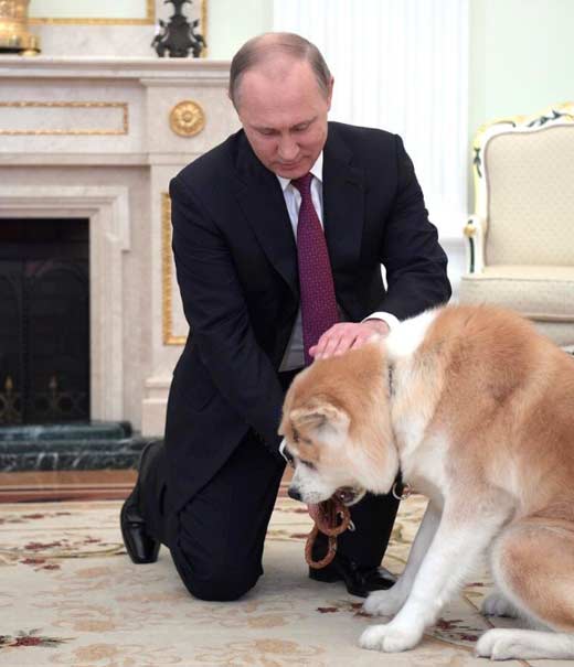 Владимир Путин и Юмэ 4
