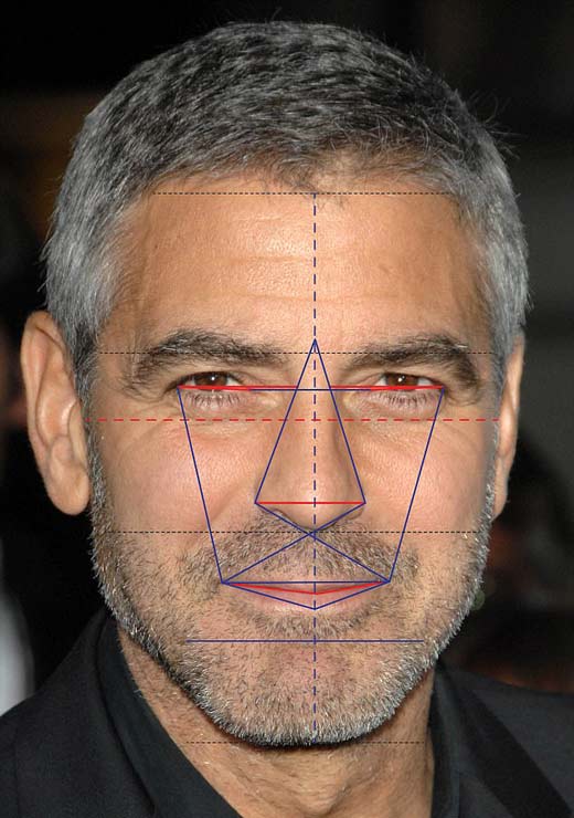 лицо Джорджа Клуни с точки зрения золотого сечения
