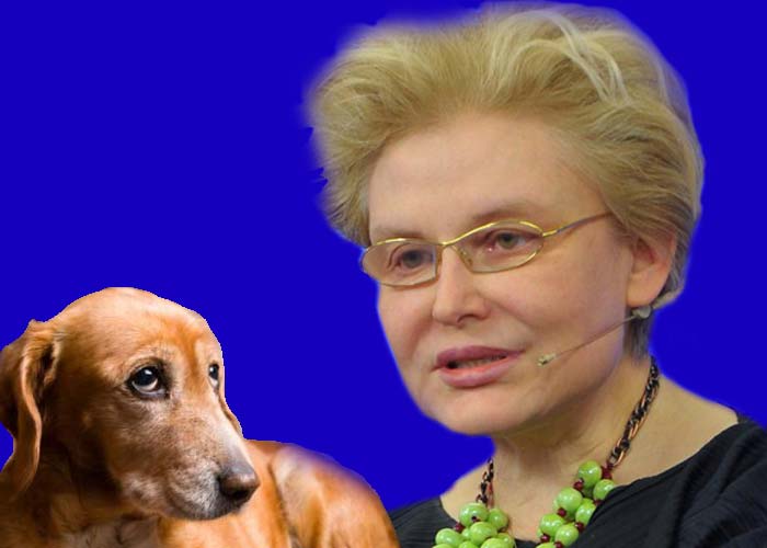 Елена Малышева и собака