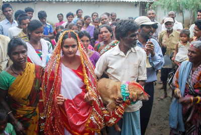 Индия Свадьба женщины и собаки 3