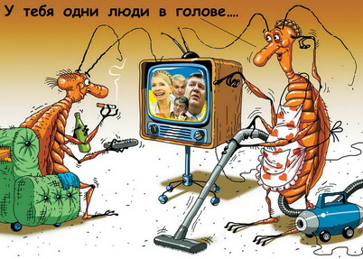 украинская политика в карикатурах политические тараканы