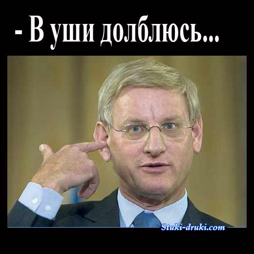 Carl-Bildt-v-ushi-dolblus.jpg