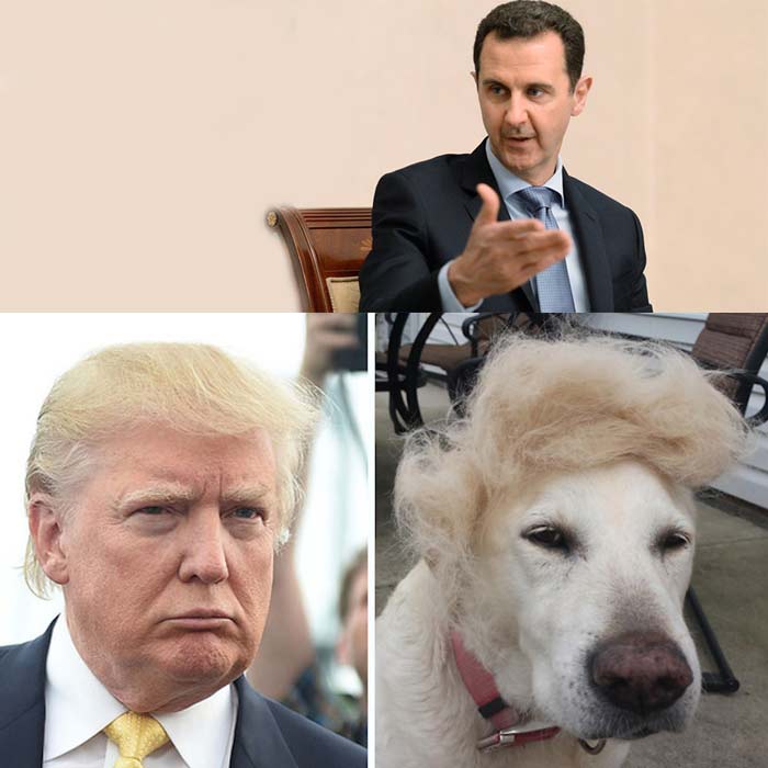 Асад Трамп собака