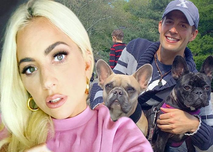 Леди Гага и украденные собаки