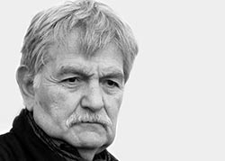 Юлиан Александрович Панич