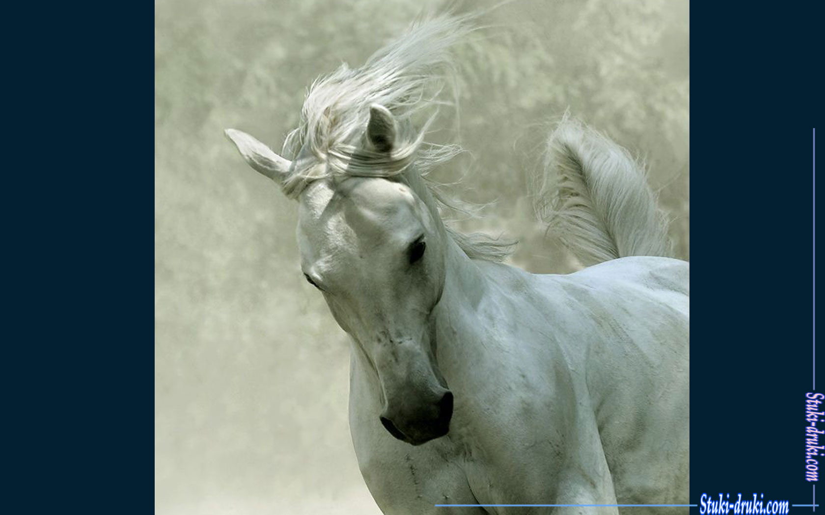 Белые лошади 4