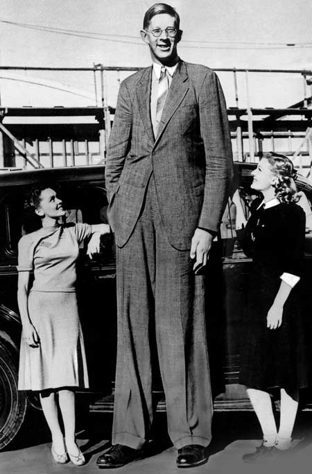 Роберт Уодлоу (Robert Wadlow) - биография, новости, личная жизнь, фото ...
