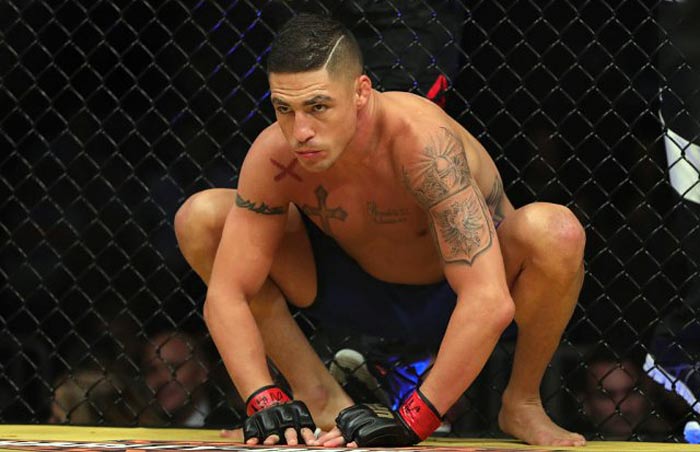 боец смешанного стиля Диего Санчес