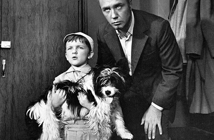 Андрей Кондратьев в фильме Кыш и Двапортфеля