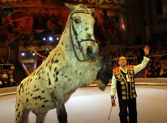 дрессировщик Виталий Викторович Тихонов