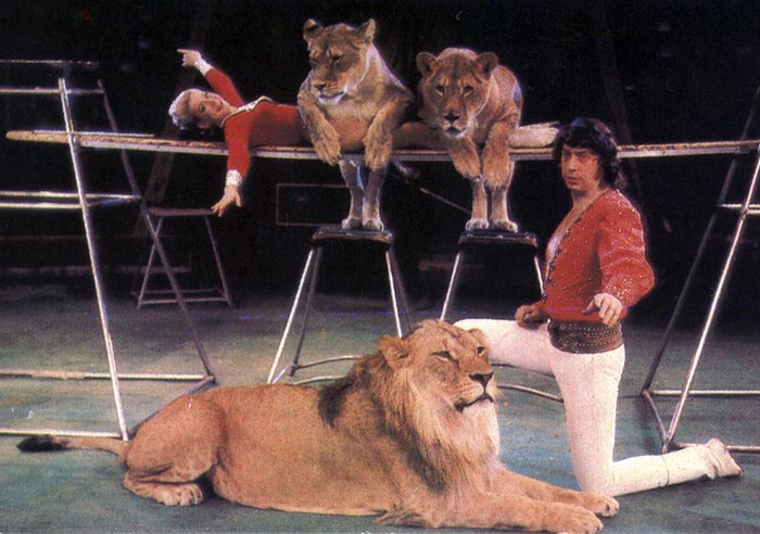 Людмила Шевченко и Владимир Шевченко