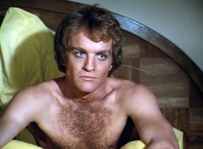 Терри Лестер в сериале Даллас