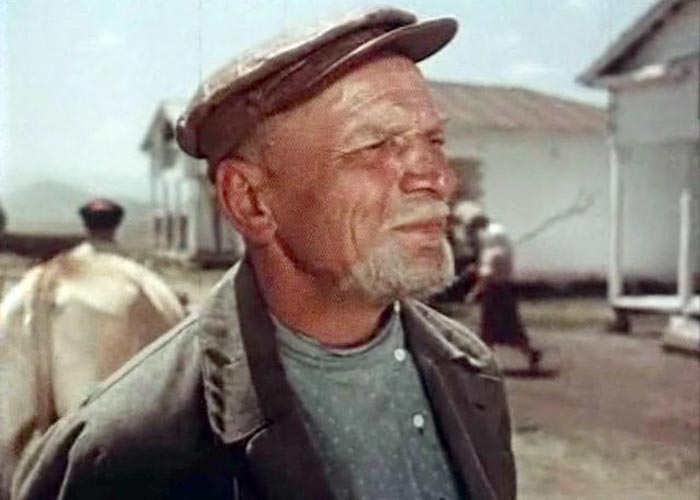 Владимир Ратомский в фильме Кавалер Золотой Звезды