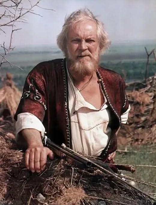 Борис Рубашкин в фильме Дикое поле