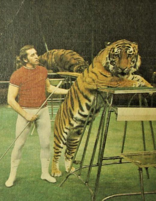 дрессировщик тигров Степан Денисов
