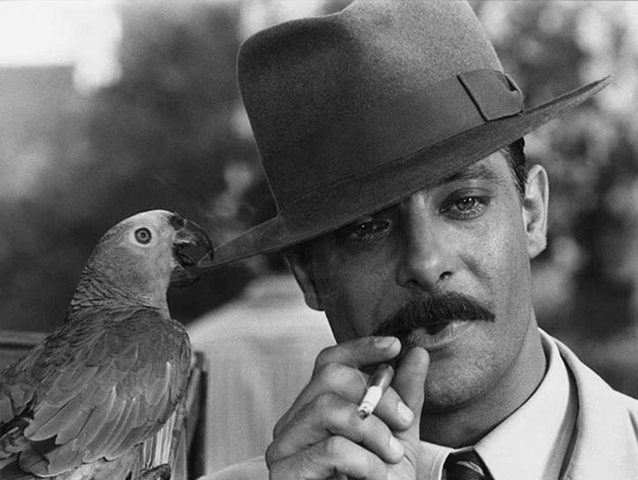 Джанкарло Джаннини в фильме Паскуалино Семь красоток