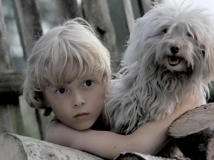 Илья Тюрин в фильме Ёлки-палки