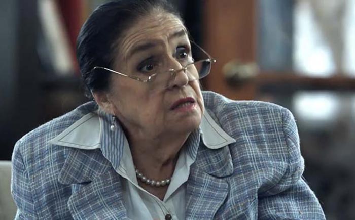 Ирина Карташева в сериале Адвокатессы