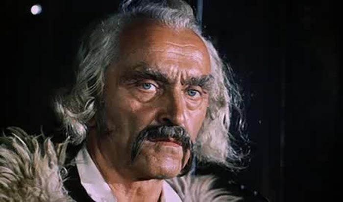 Василий Симчич в фильме Табор уходит в небо