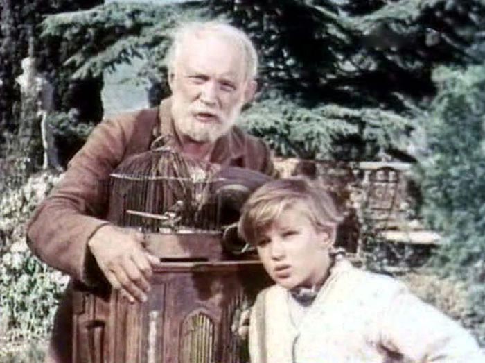 Виктор Кольцов в фильме Белый пудель