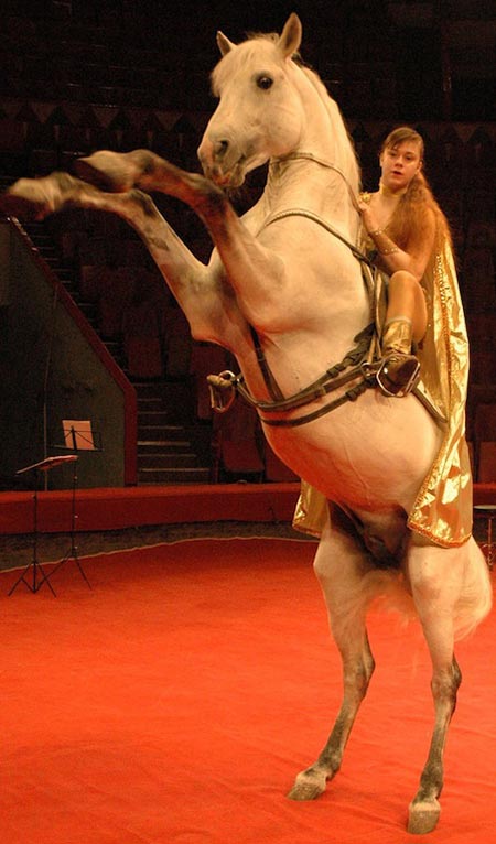 цирковая актриса Виолетта Александрова-Серж