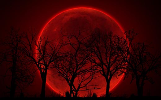 Кровавая Луна 1