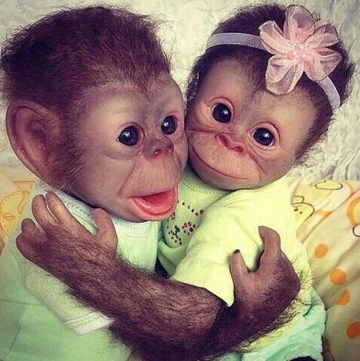 две обезьянки