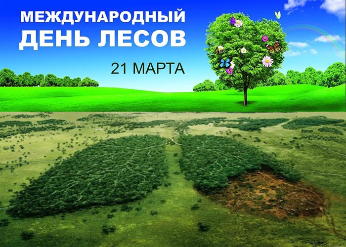 Международный день лесов