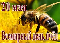 Всемирный день пчёл