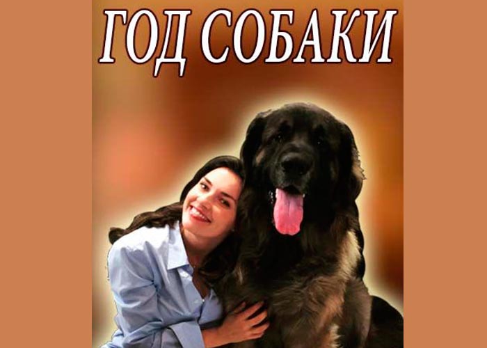 постер сериал Год собаки