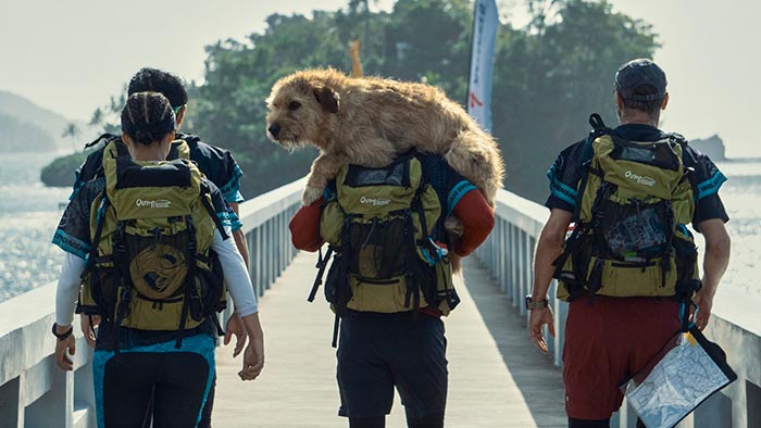 Кадр из фильма Артур, ты король кадр Артур, ты король 3