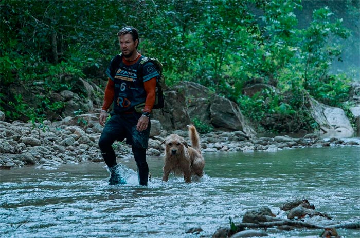 Кадр из фильма Артур, ты король кадр Артур, ты король 8