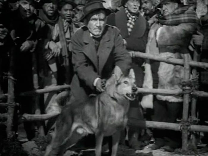 Кадр из фильма Белый Клык кадр Белый Клык 5