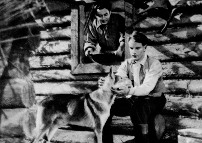 Кадр из фильма Белый Клык кадр Белый Клык 8