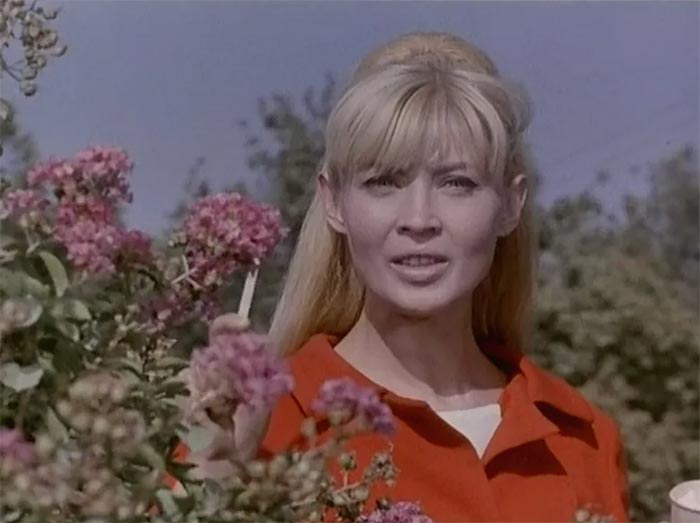 Кадр из фильма Белый рояль кадр Белый рояль 11