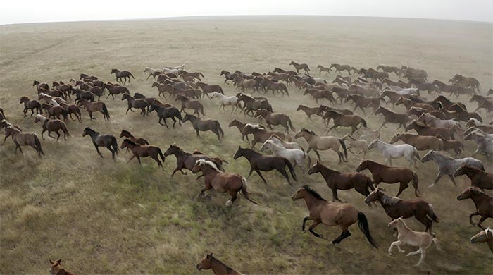 Кадр из фильма Белой дороги кадр Белой дороги 10