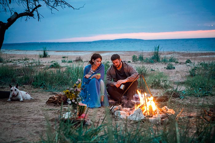 кадр Бультерьер 5