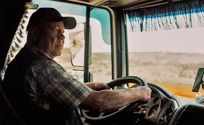 кадр Бультерьер 8