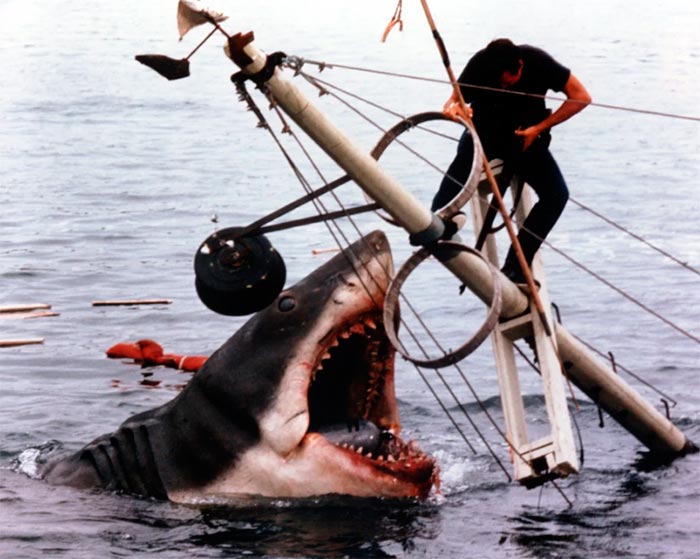 Кадр из фильма Челюсти кадр Челюсти 7