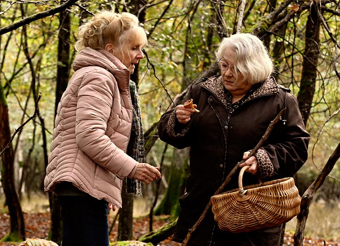 Кадр из фильма Что случилось осенью кадр Что случилось осенью 4