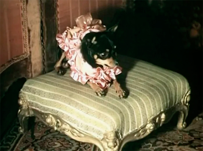 Кадр из фильма Чужая жена и муж под кроватью кадр Чужая жена и муж под кроватью 11