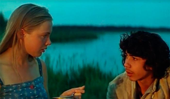 Фильм «Цыганское счастье» (1981) - сюжет, актеры и роли, кадры из фильма