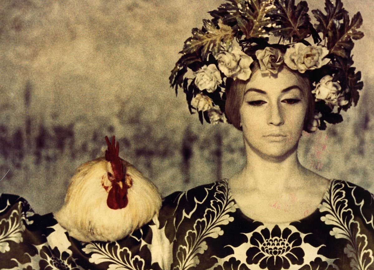 кадр Цвет граната 5